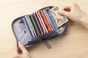 KINOKUNIYA カードがたっぷり入ってポイ活がはかどる ミニ財布BOOK - サムネイル画像7